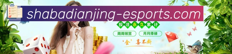 未来规划